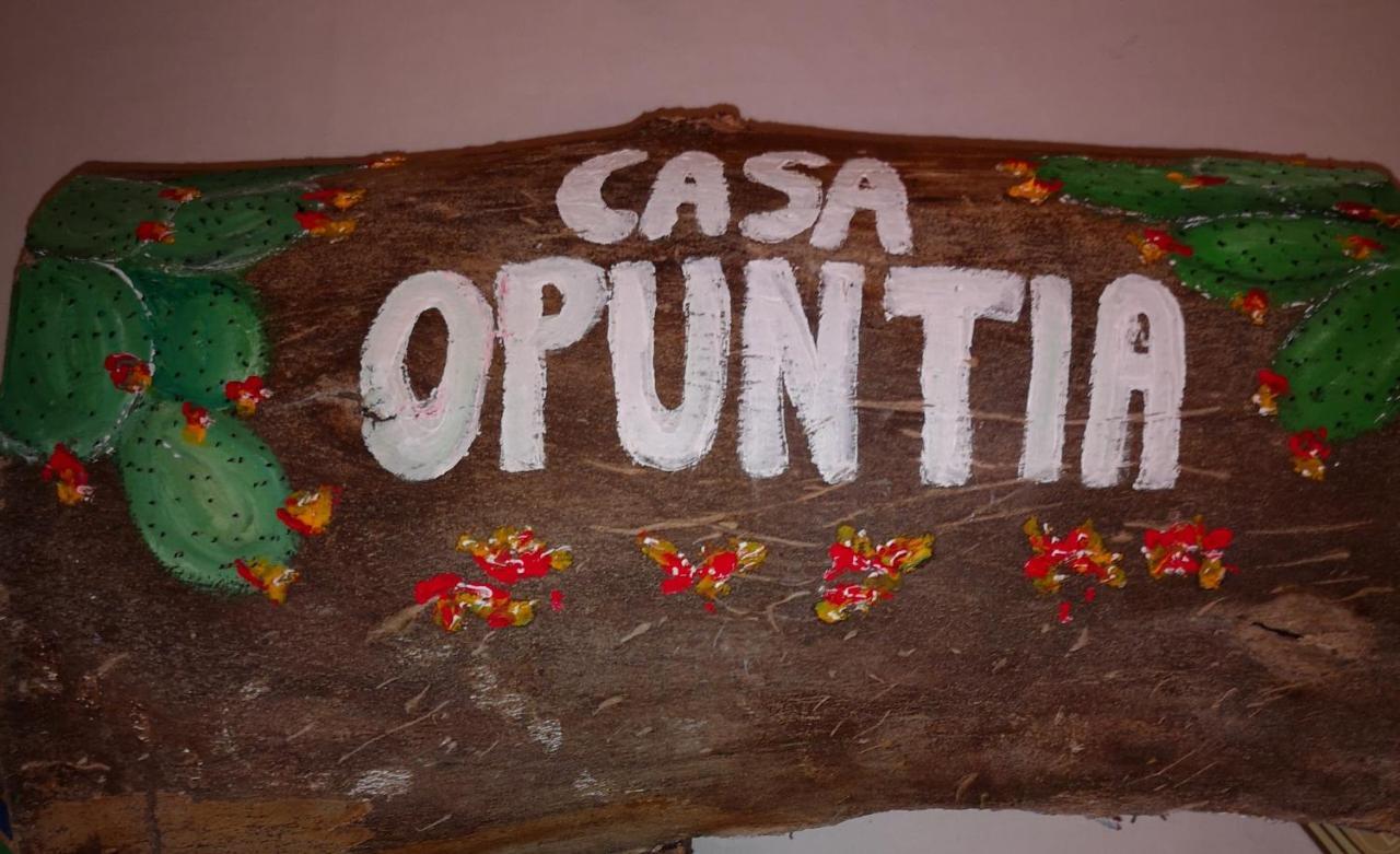 Pappaygiannades Casa Opuntia 빌라 외부 사진