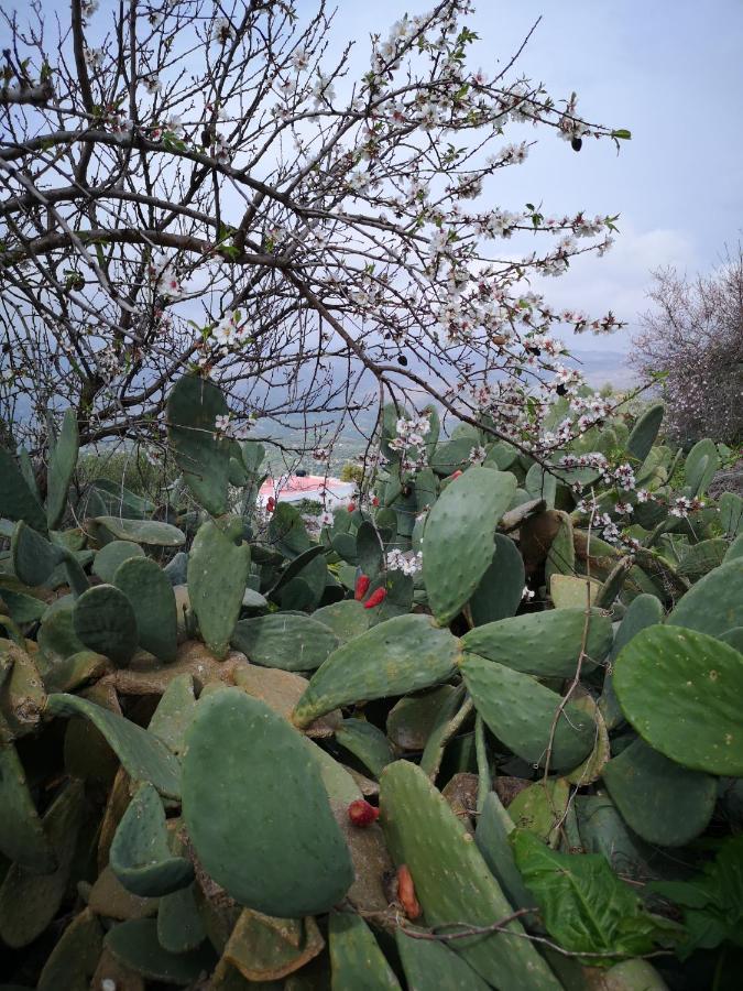 Pappaygiannades Casa Opuntia 빌라 외부 사진