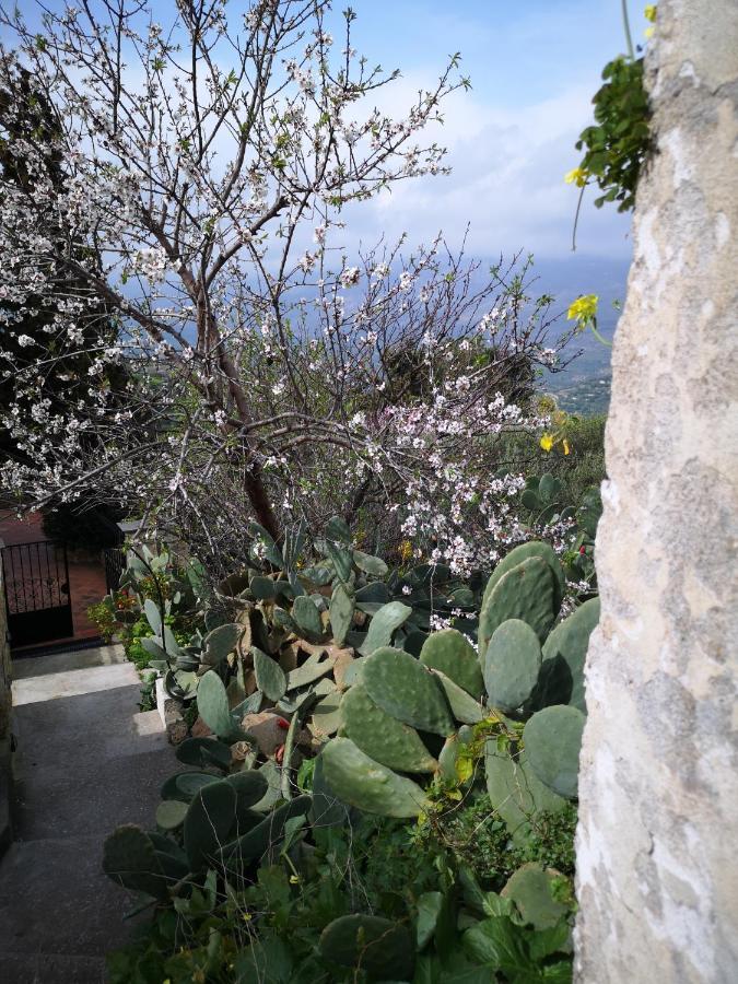 Pappaygiannades Casa Opuntia 빌라 외부 사진